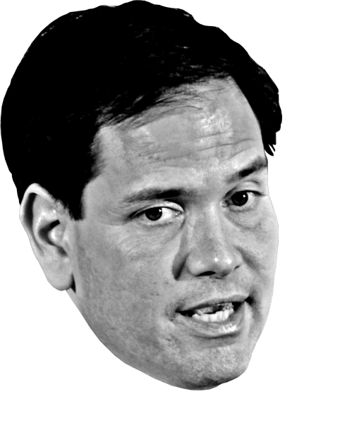 Rubio-Head